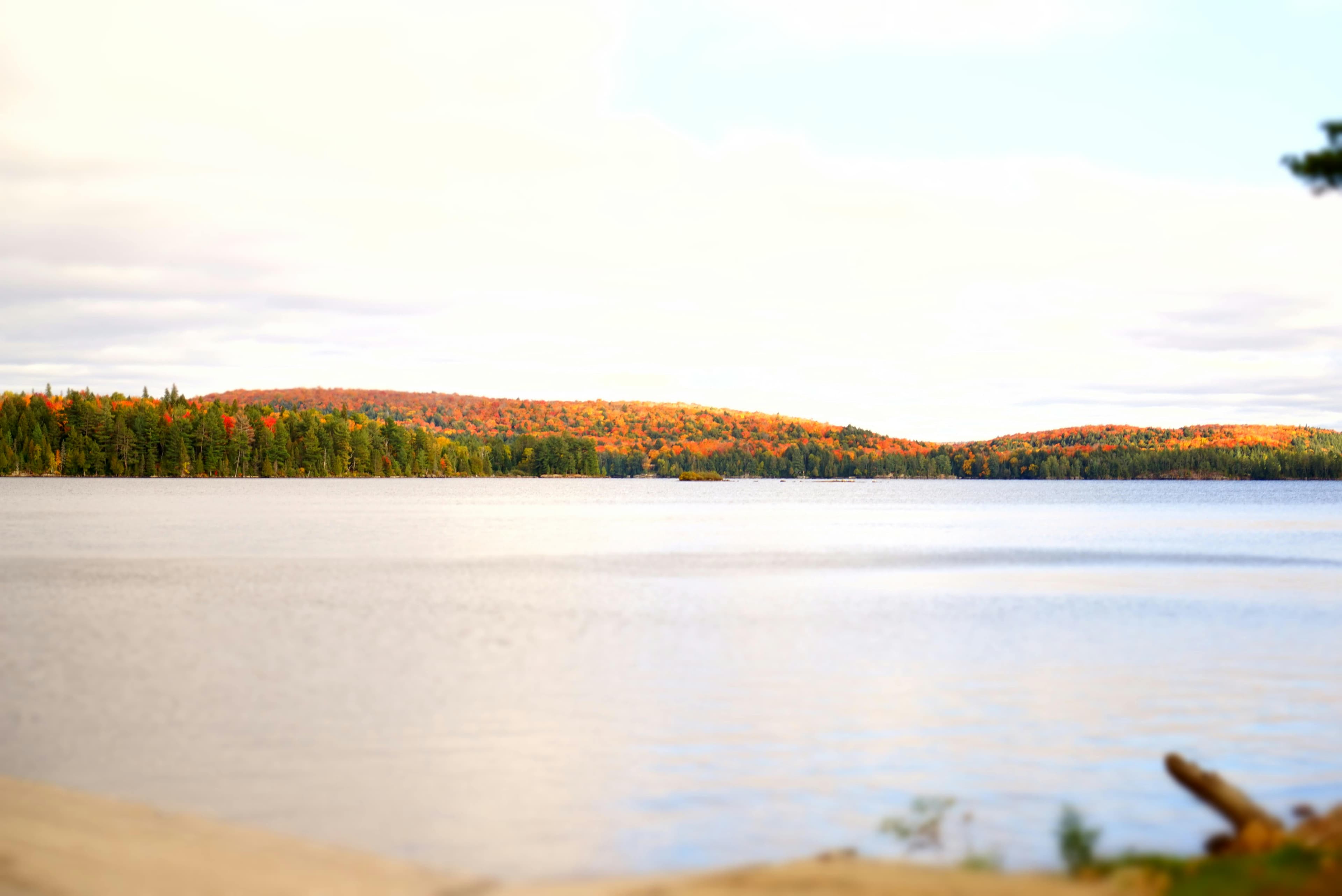 Location image